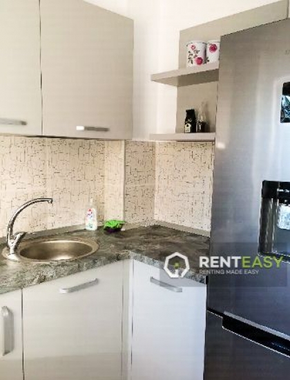 Apartament cu 2 camere de inchiriat in zona Copou